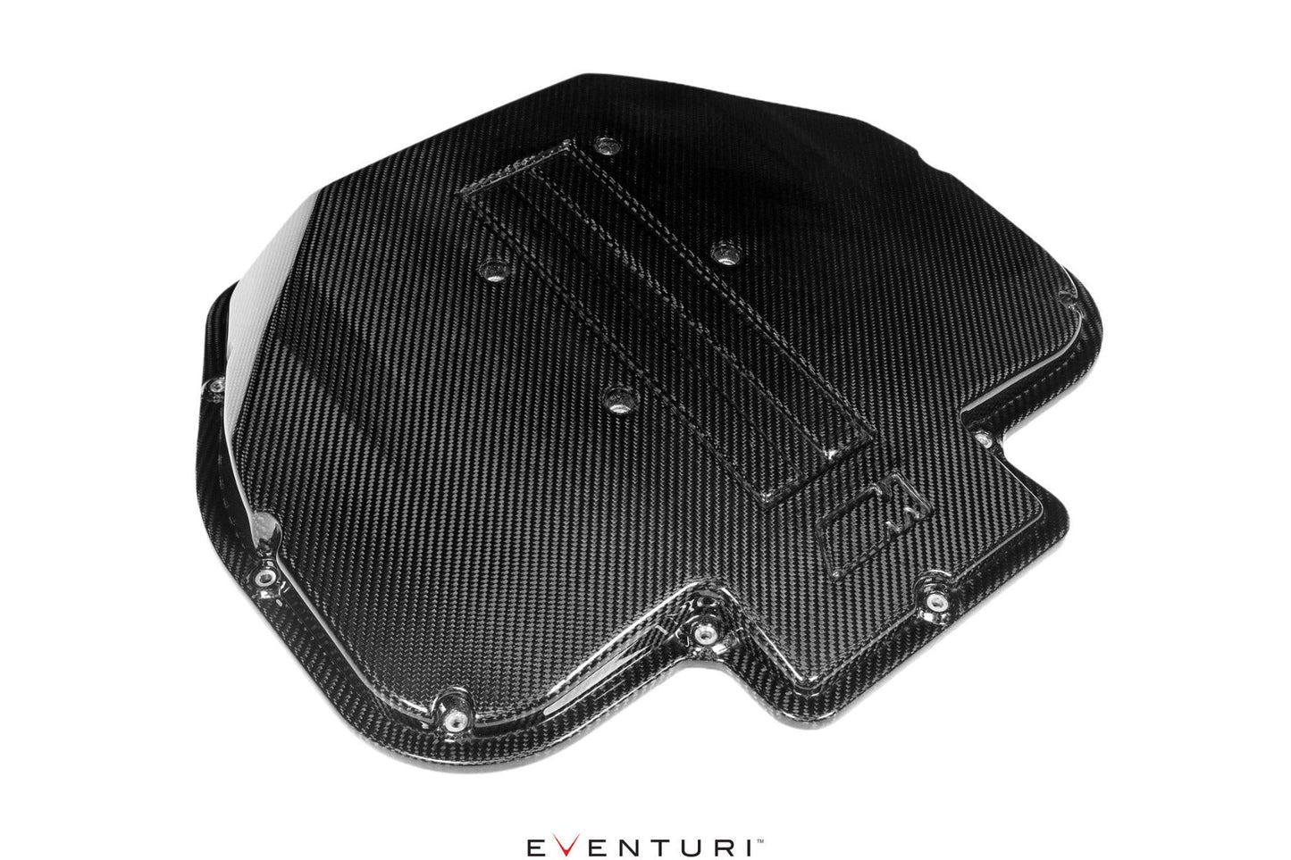 BMW S62 V8 Carbon Plenum Lid for E39 M5 and Z8